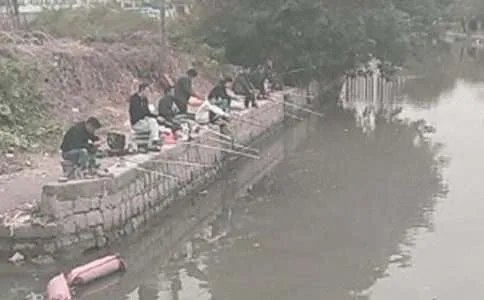 钓鱼的启示教学设计
