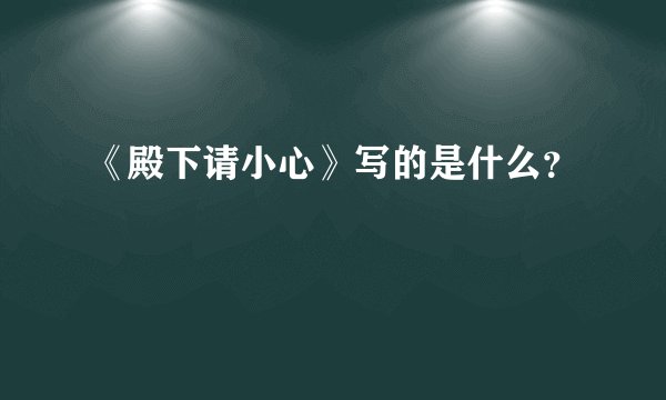 《殿下请小心》写的是什么？