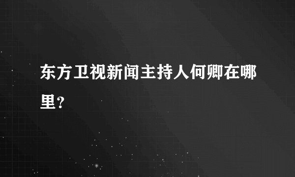 东方卫视新闻主持人何卿在哪里?