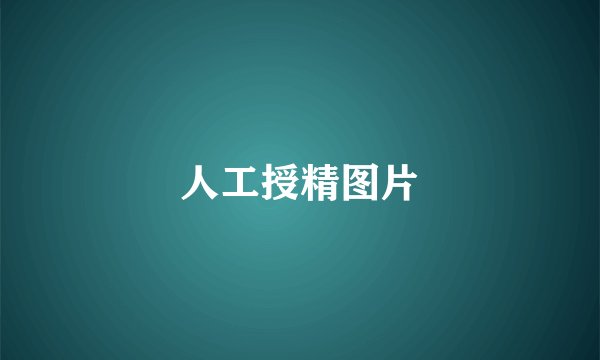 人工授精图片