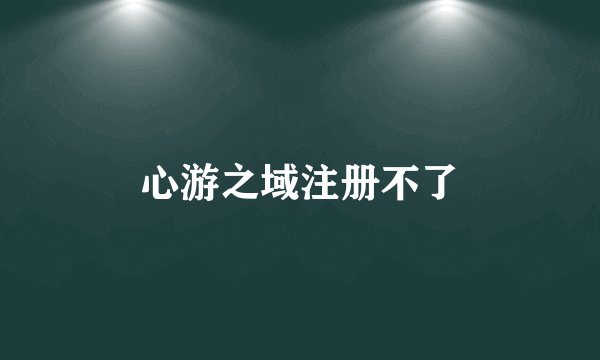 心游之域注册不了