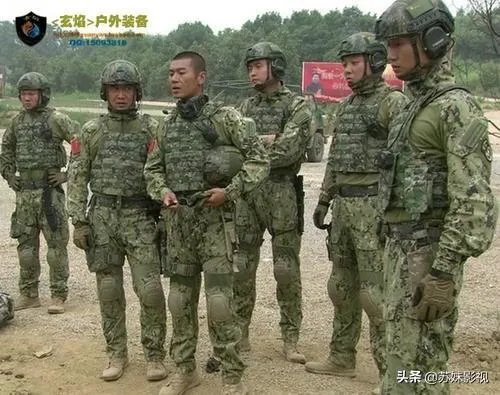 叶寸心妈妈死了么