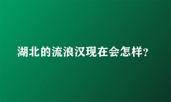 湖北的流浪汉现在会怎样?
