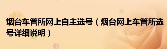 烟台车管所网上自主选号（烟台网上车管所选号详细说明）