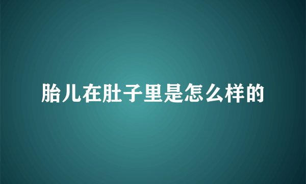 胎儿在肚子里是怎么样的