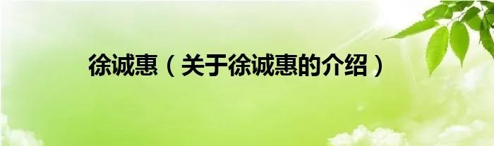 徐诚惠（关于徐诚惠的介绍）