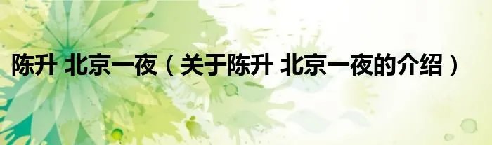 陈升 北京一夜（关于陈升 北京一夜的介绍）