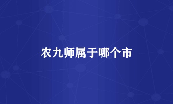 农九师属于哪个市