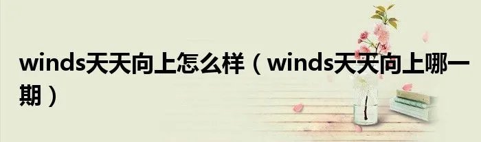 winds天天向上怎么样（winds天天向上哪一期）