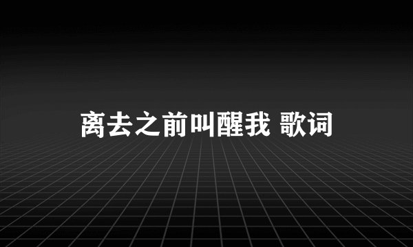 离去之前叫醒我 歌词