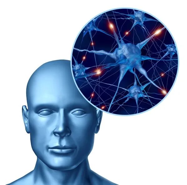 怎样测试一个人的智商有多少个