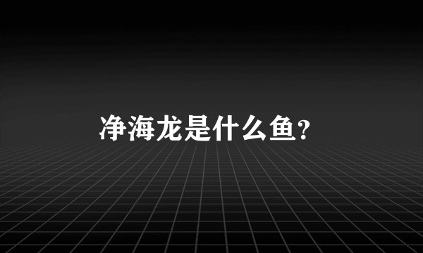 净海龙是什么鱼?