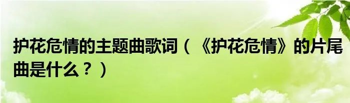 护花危情的主题曲歌词（《护花危情》的片尾曲是什么？）