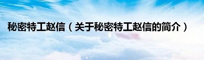 秘密特工赵信（关于秘密特工赵信的简介）