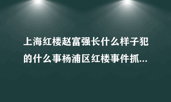 上海红楼赵富强长什么样子犯的什么事杨浦区红楼事件抓了多少人