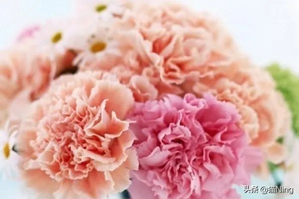 母亲节送什么礼物,最实用的母亲节礼物排行榜?