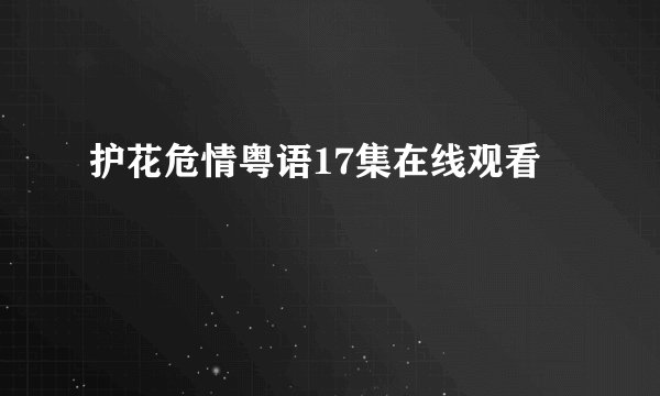 护花危情粤语17集在线观看