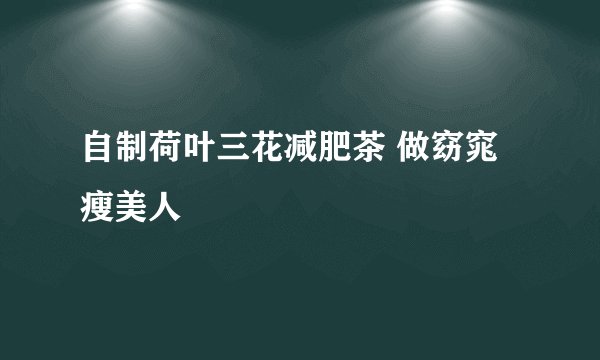 自制荷叶三花减肥茶 做窈窕瘦美人