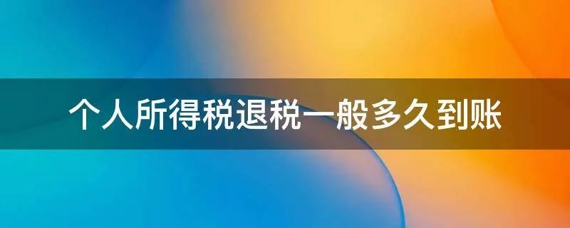 个人所得税退税一般多久到账