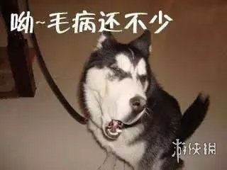狗狗铺凉席关灯睡觉 狗狗铺凉席关灯睡觉视频