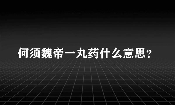 何须魏帝一丸药什么意思？