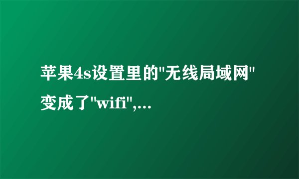 苹果4s设置里的