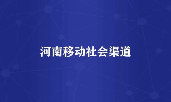 河南移动社会渠道
