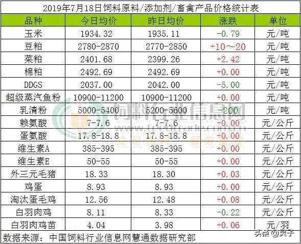 中国新粮上市