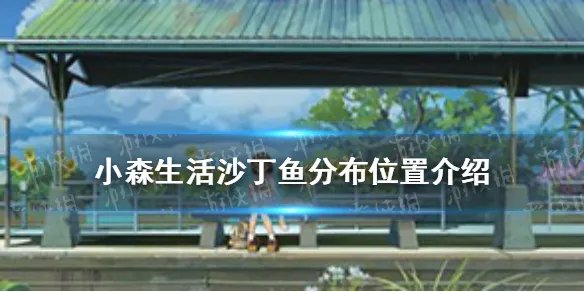 《小森生活》沙丁鱼在哪里 沙丁鱼分布位置介绍
