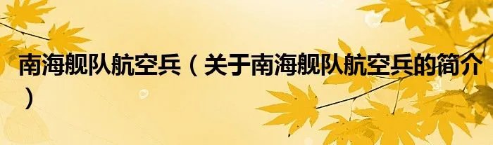 南海舰队航空兵(关于南海舰队航空兵的简介)