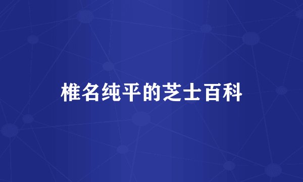 椎名纯平的芝士百科