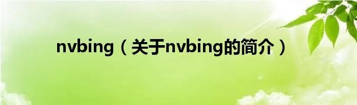 nvbing（关于nvbing的简介）