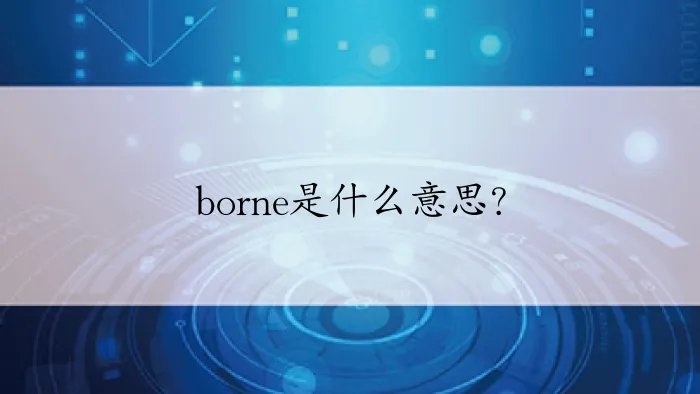 borne是什么意思?