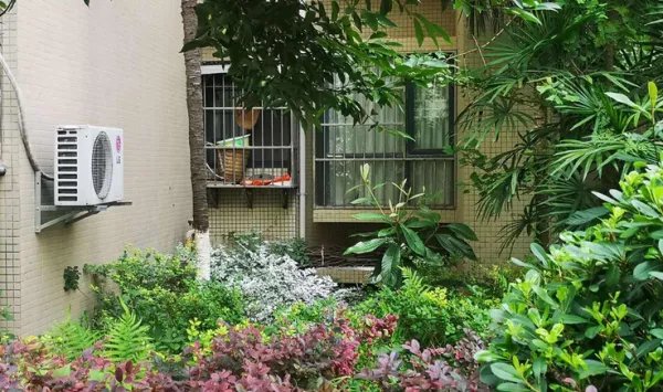 四川一小区绿化带发现男尸，物业为何没有及时发现死者？