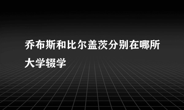 乔布斯和比尔盖茨分别在哪所大学辍学