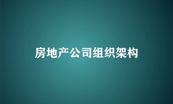 房地产公司组织架构