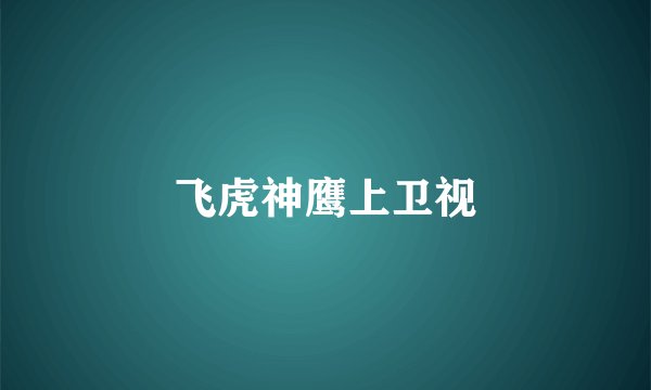 飞虎神鹰上卫视
