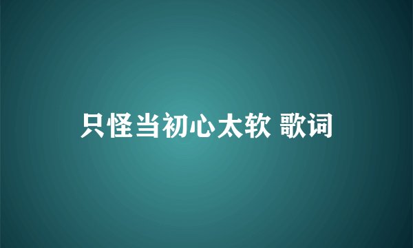 只怪当初心太软 歌词