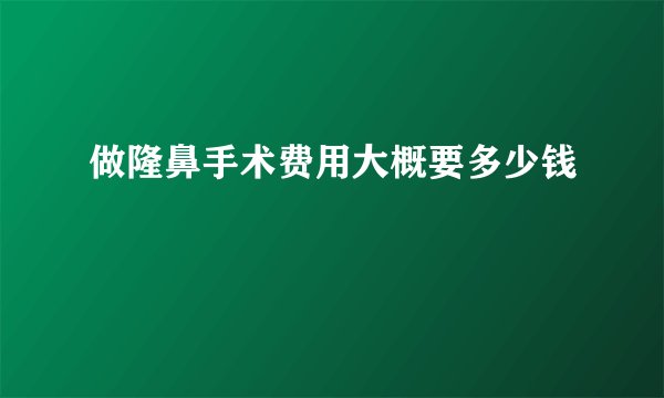 做隆鼻手术费用大概要多少钱