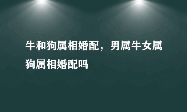 牛和狗属相婚配，男属牛女属狗属相婚配吗