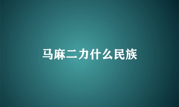 马麻二力什么民族