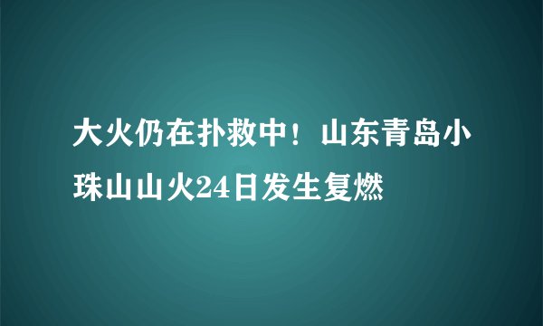 大火仍在扑救中!山东青岛小珠山山火24日发生复燃