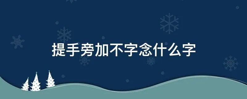 提手旁加不字念什么字