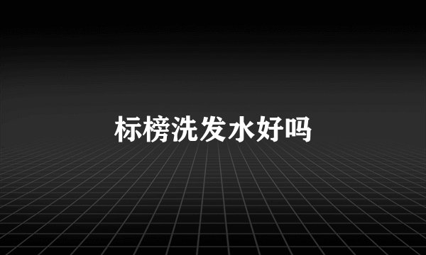 标榜洗发水好吗