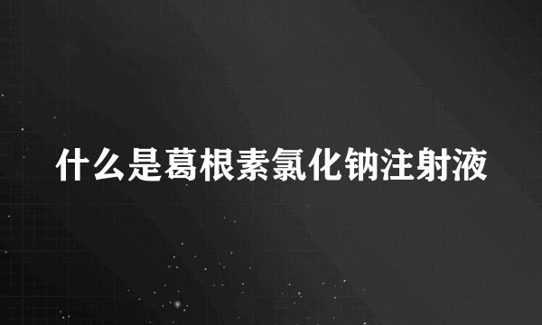 什么是葛根素氯化钠注射液