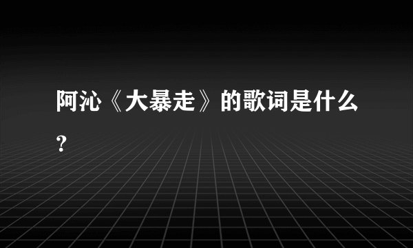 阿沁《大暴走》的歌词是什么？