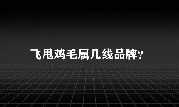 飞甩鸡毛属几线品牌?