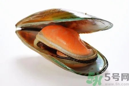 河蚌怎么杀?怎么杀河蚌才可以?