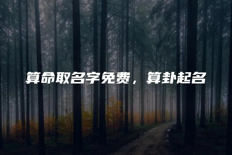 算命取名字免费，算卦起名
