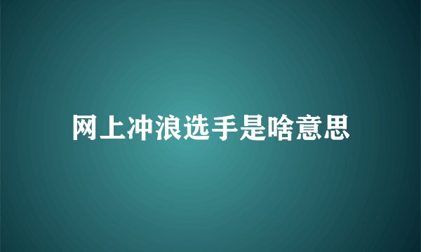 网上冲浪选手是啥意思